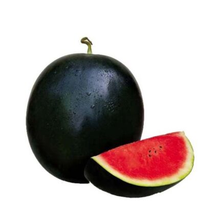 Watermelon Green - 1.5 Kg. to 2.5 Kg. / పుచ్చకాయ