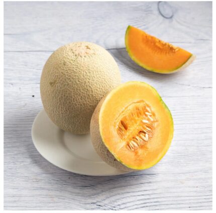 Muskmelon 1pic